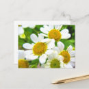 Recherche de pelouse cartes postales Pour elle