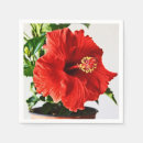 Recherche de ketmie rouge Floral