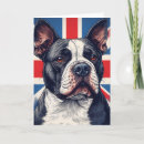 Suche nach bull terrier karten Haustier