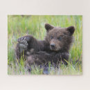 Suche nach braunbär puzzle Alaska