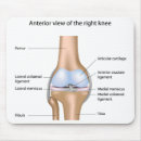 Suche nach anatomie mousepads Gesundheit