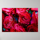 Recherche de fleur rouge posters Peinture murale