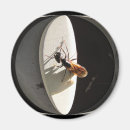 Suche nach ameise magnete Sommer