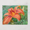 Suche nach orange lilie karten Foto