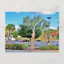 Recherche de tampa la floride cartes postales Palmiers