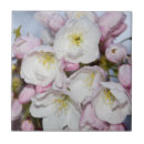 Recherche de apple carreaux Fleurs de printemps