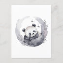 Recherche de petit panda cartes postales Ours de panda