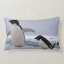 Suche nach antarktis kissen Südpol