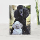 Suche nach verfolgung postkarten Gruß