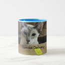 Suche nach blaue katzen tassen Siamesisch
