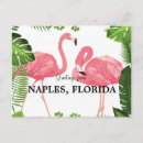 Recherche de naples floride cartes postales Tropical