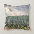 Suche nach agaven kissen Pflanze