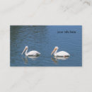 Suche nach pelikan visitenkarten Vögel