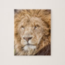 Recherche de lion puzzles Pour elle