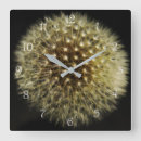 Suche nach dandelion wanduhren Blume