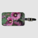 Recherche de printemps bagages étiquettes Tropical