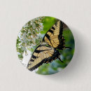 Suche nach schwarze flügel buttons Natur