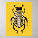 Suche nach entomologie poster Käfer