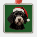 Suche nach portugiesischer wasserhund ornament ornamente Weihnachten