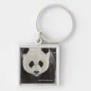 Recherche de smithsonian porteclés Panda