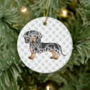 Suche nach vor kurzem ornamente Hund