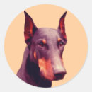 Suche nach doberman aufkleber Doberin