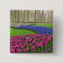 Suche nach reben buttons Rosa