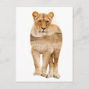 Recherche de africains cartes postales Lion