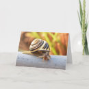 Suche nach schnecke geburtstag karten Verspätet