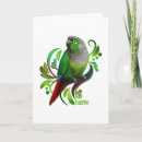 Recherche de conures vœux cartes Oiseaux