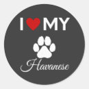 Suche nach havanna aufkleber Havanisch