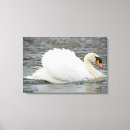 Suche nach schwan leinwandbilder Drucken