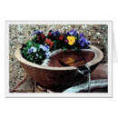 Suche nach wassergarten Blume