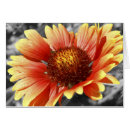 Recherche de condoleances cartes postales Floral