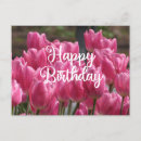 Suche nach tulpenfeld karten Blume