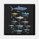 Recherche de espèces magnets Vie marine