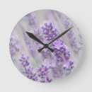 Recherche de fleurs lilas horloges Lavande