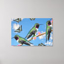 Suche nach kolibris leinwandbilder Tropisch