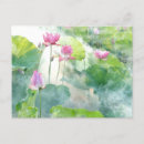 Recherche de lotus cartes postales Nature