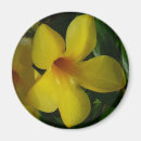 Recherche de trompette magnets Fleurs