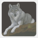 Recherche de bois gris autocollants Sauvage