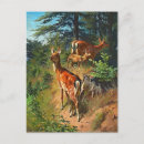 Suche nach zwei tiere postkarten Wald