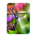 Suche nach maler magnete Natur