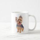 Recherche de yorkshire terrier tasses Amoureux des chiens