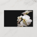 Suche nach weiße orchidee visitenkarten Hübsch