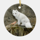 Recherche de renard ornements Animal