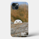 Recherche de neigeux électronique Hibou