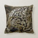 Suche nach jaguar kissen Wildtiere