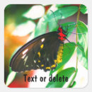 Suche nach schwarzer schmetterling aufkleber Für sie