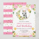 Recherche de de zèbre anniversaire invitations Jungle